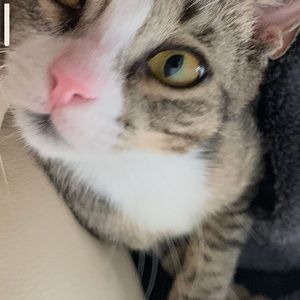 Meet your Posher, Gloria